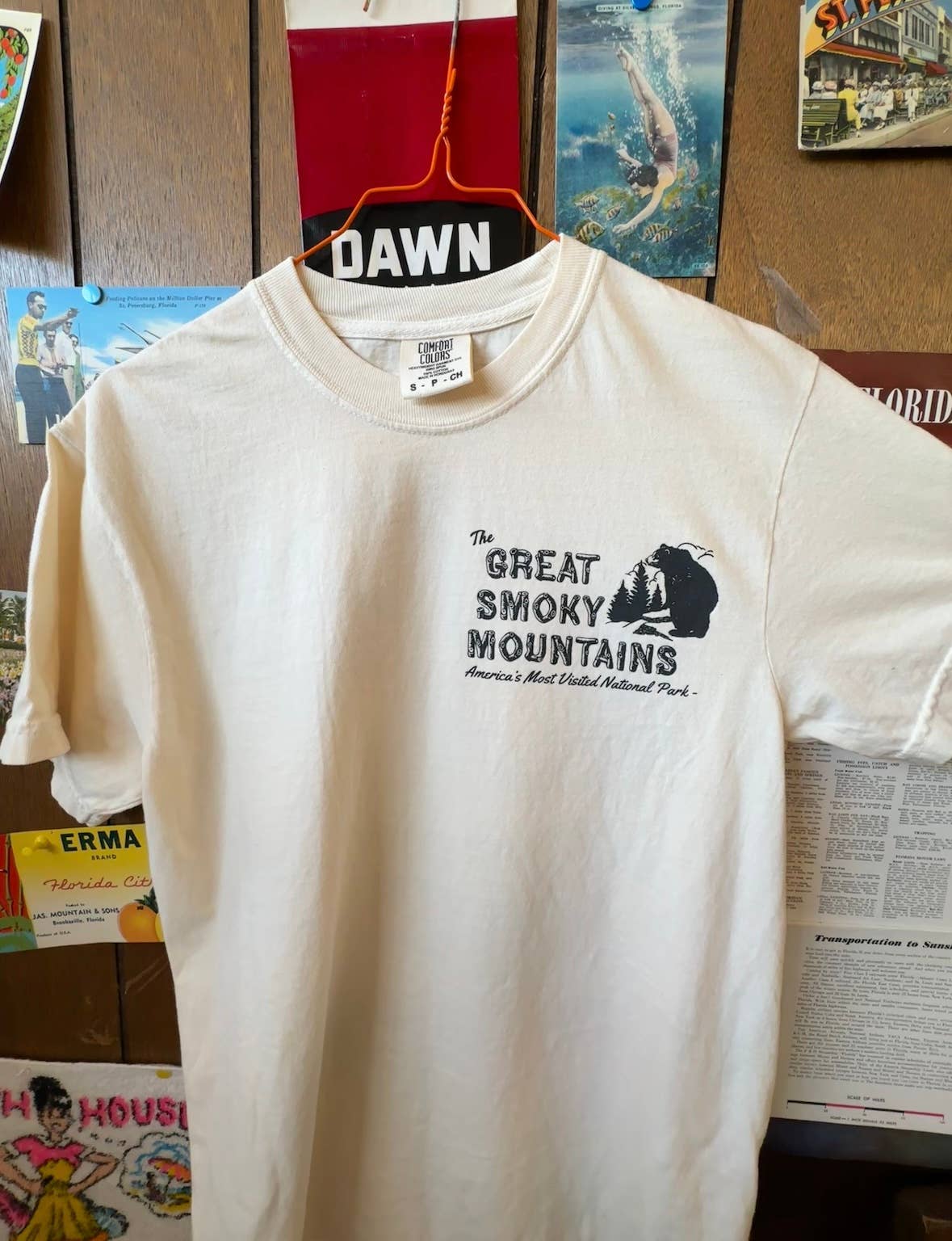 Vintage Great Smoky Mountains T-Shirt