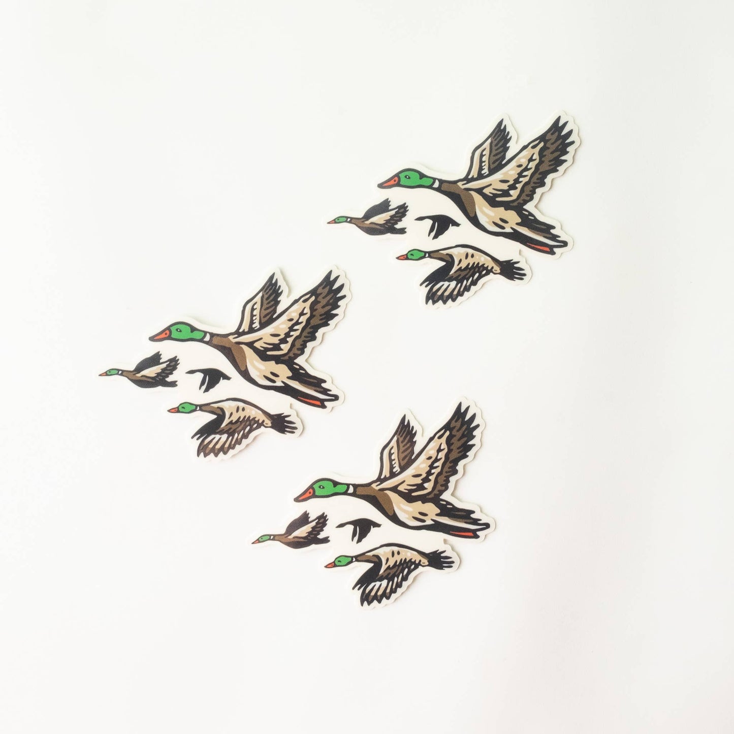 Mallard Ducks Sticker