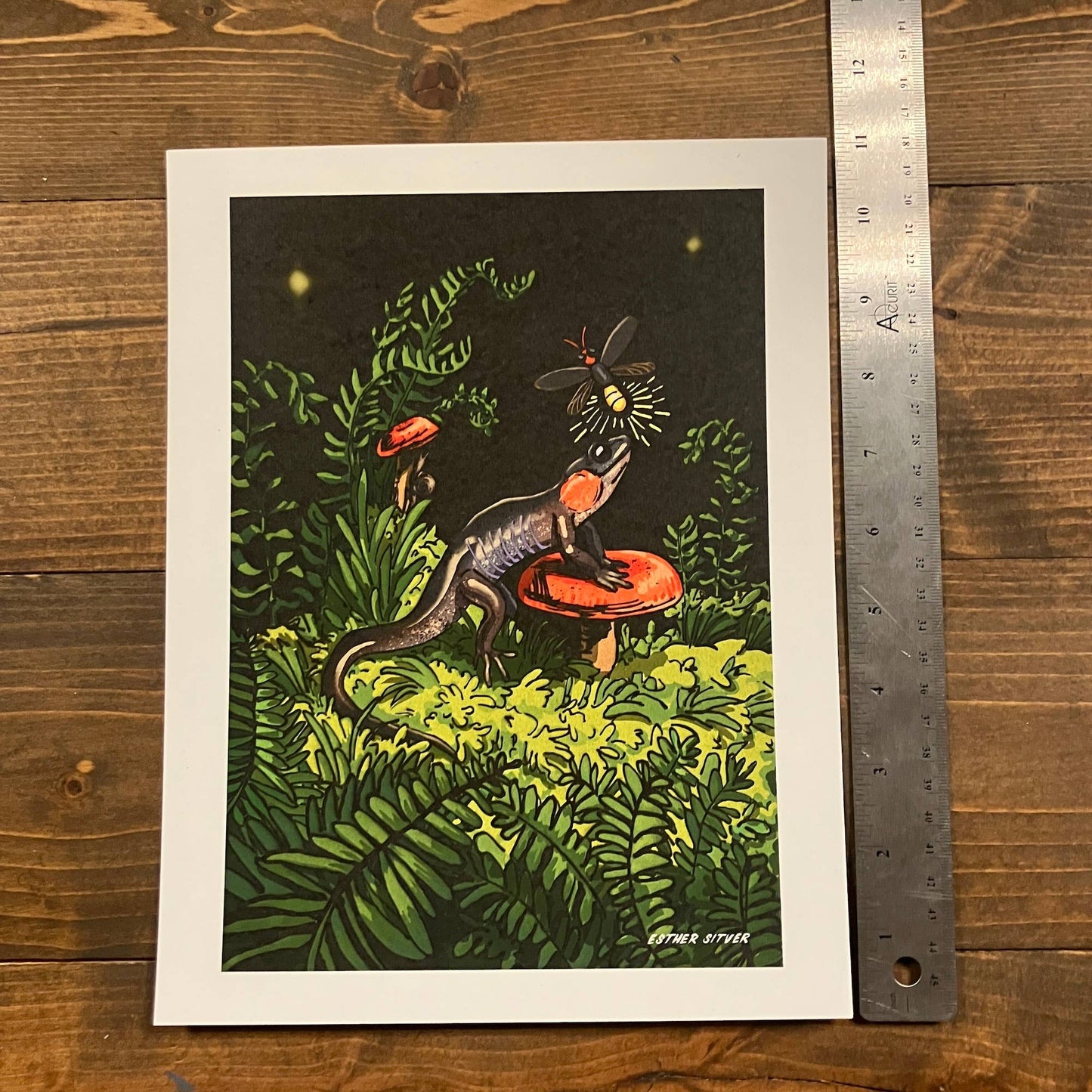 Salamander and Firefly 8.5x11 Art Print