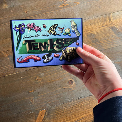 You're the only Ten I See Postcard