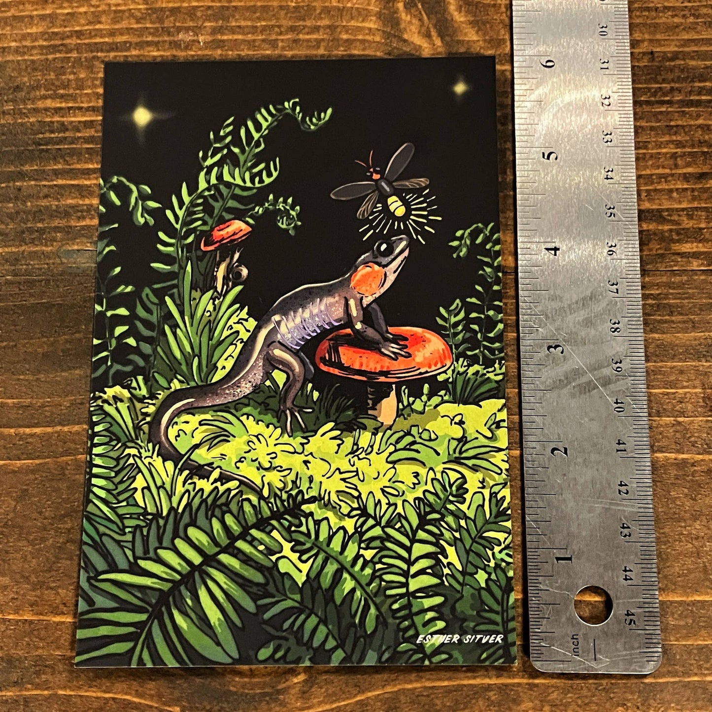 Salamander Firefly Postcard
