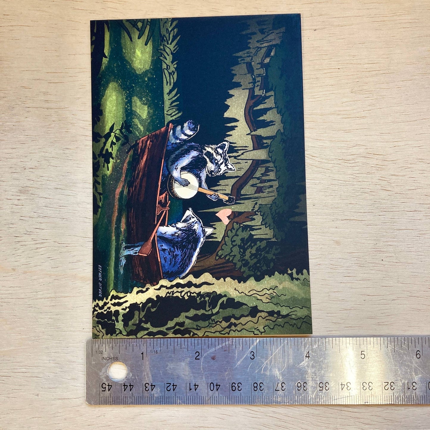 Raccoons On the Bayou Postcard