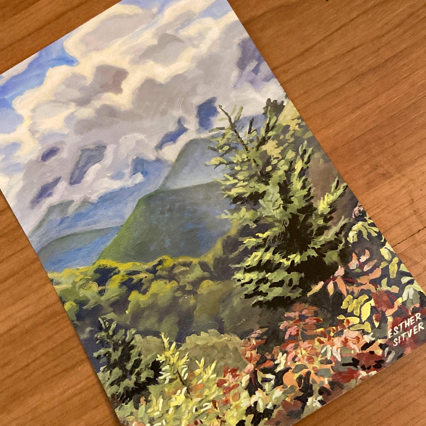 Blue Ridge Parkway Postcard