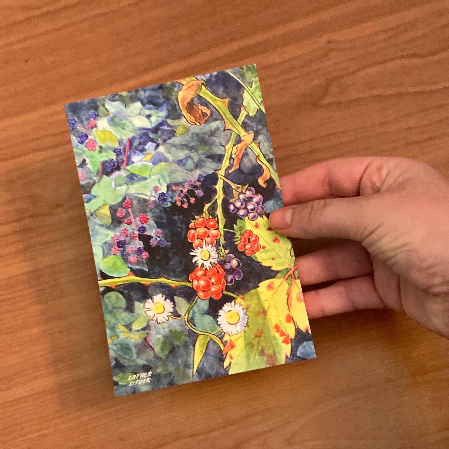 Blackberry Bramble Postcard