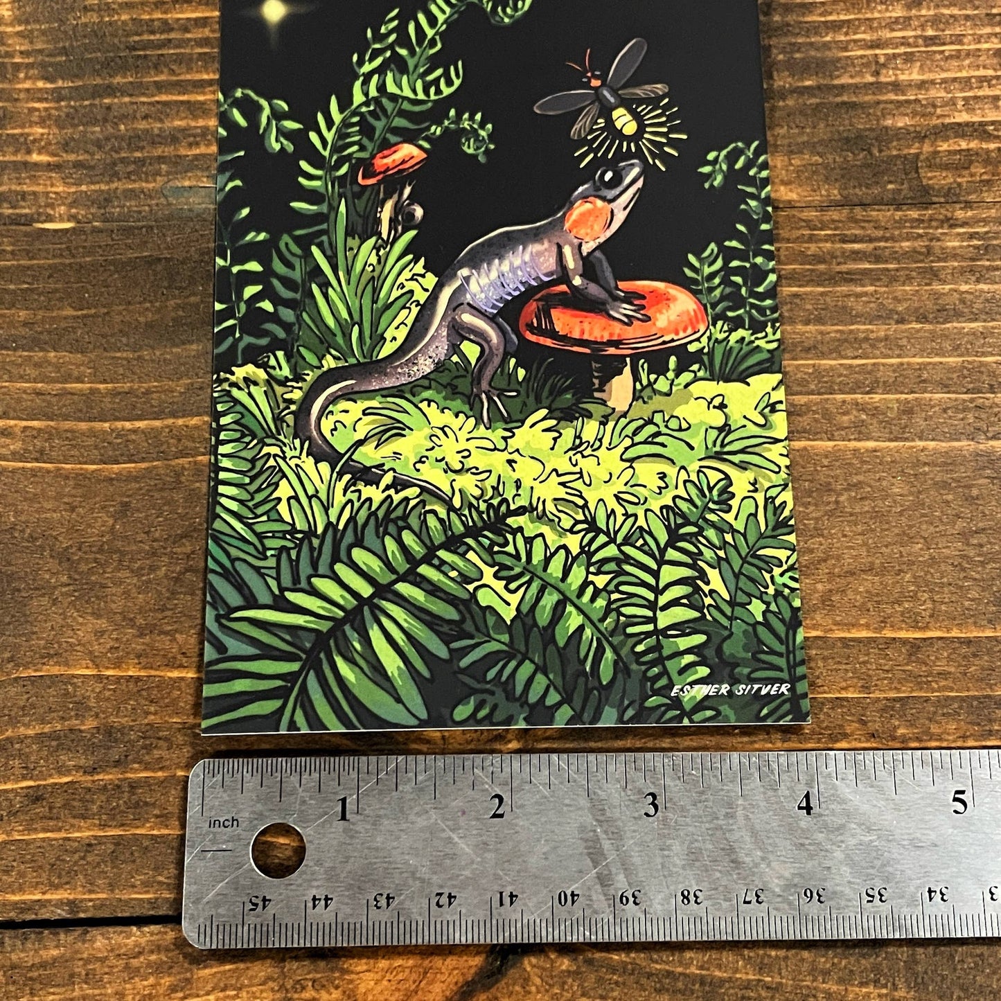 Salamander Firefly Postcard