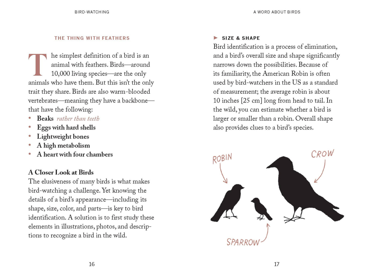 Pocket Nature: Bird-Watching