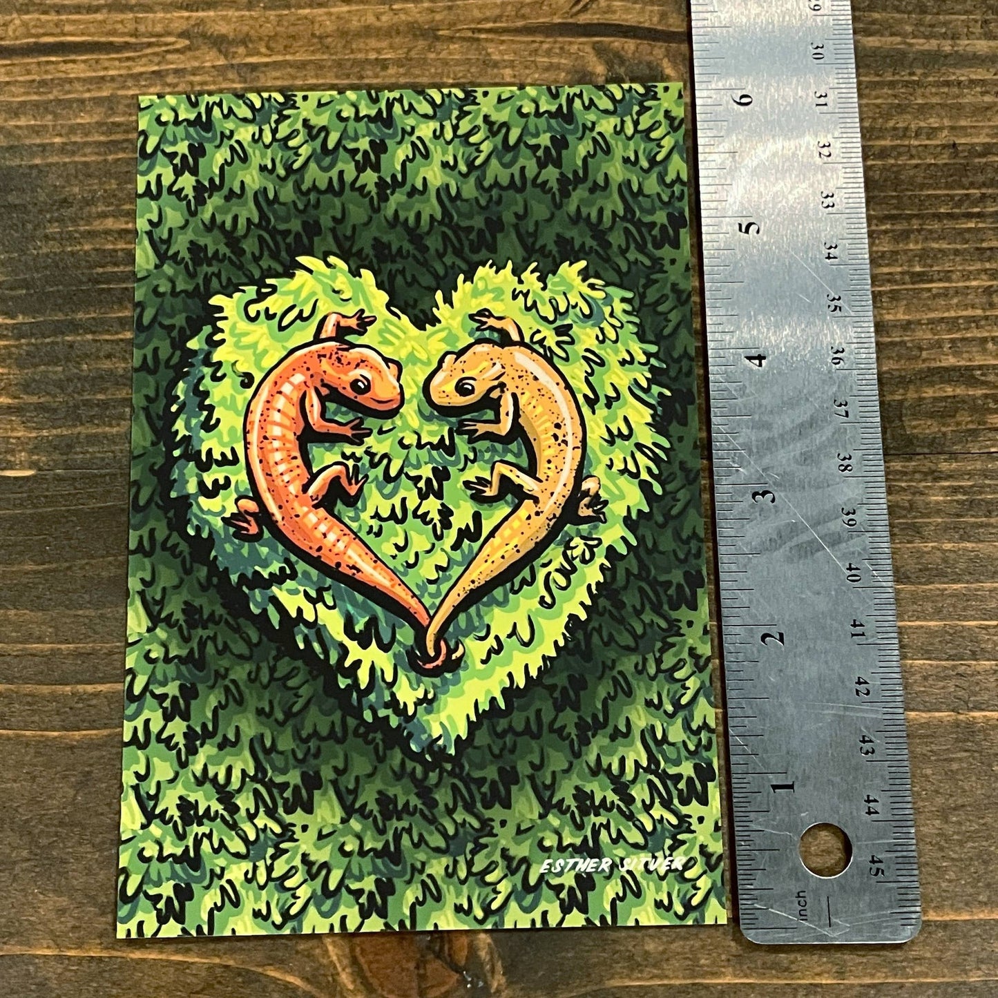 Salamanders in Love Postcard