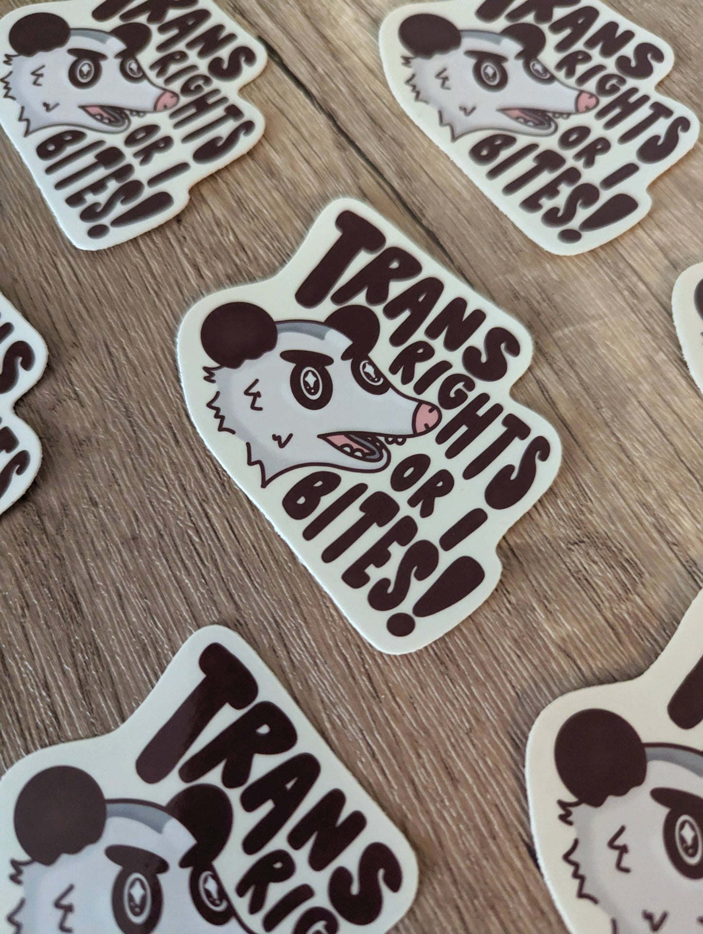 Trans Rights or I Bites Sticker