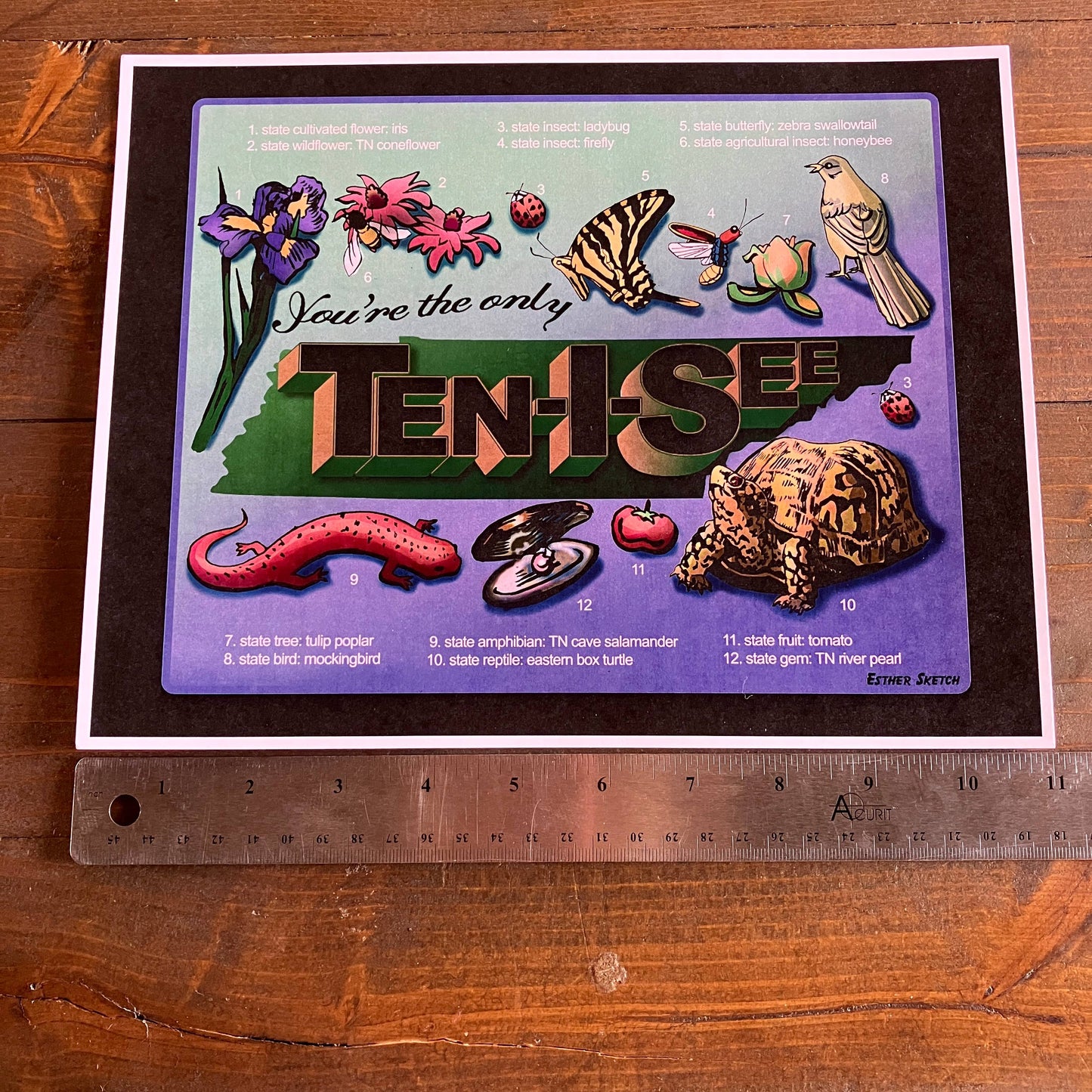 Only Ten I See Tennessee Print