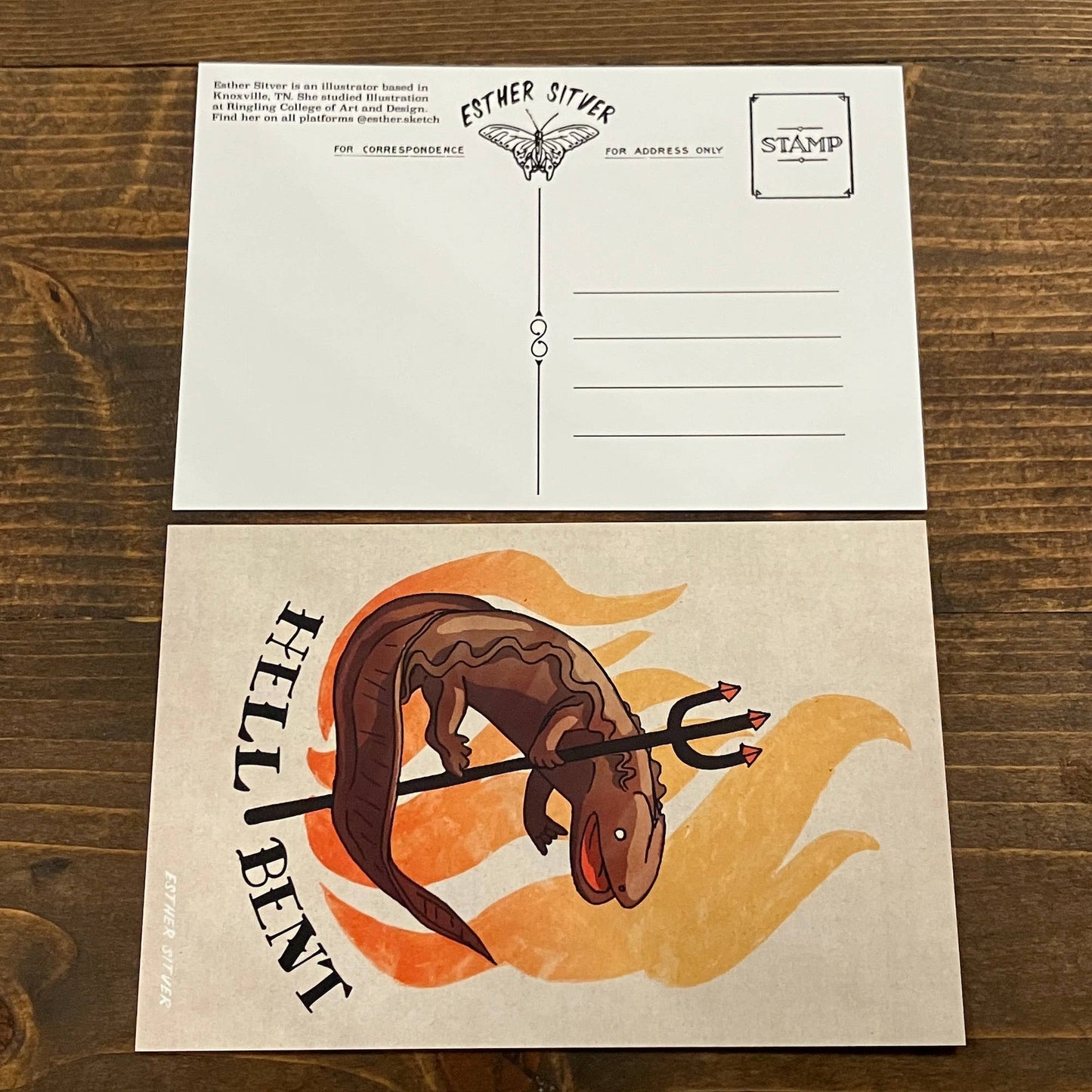 Hell Bent Hellbender Salamander Postcard