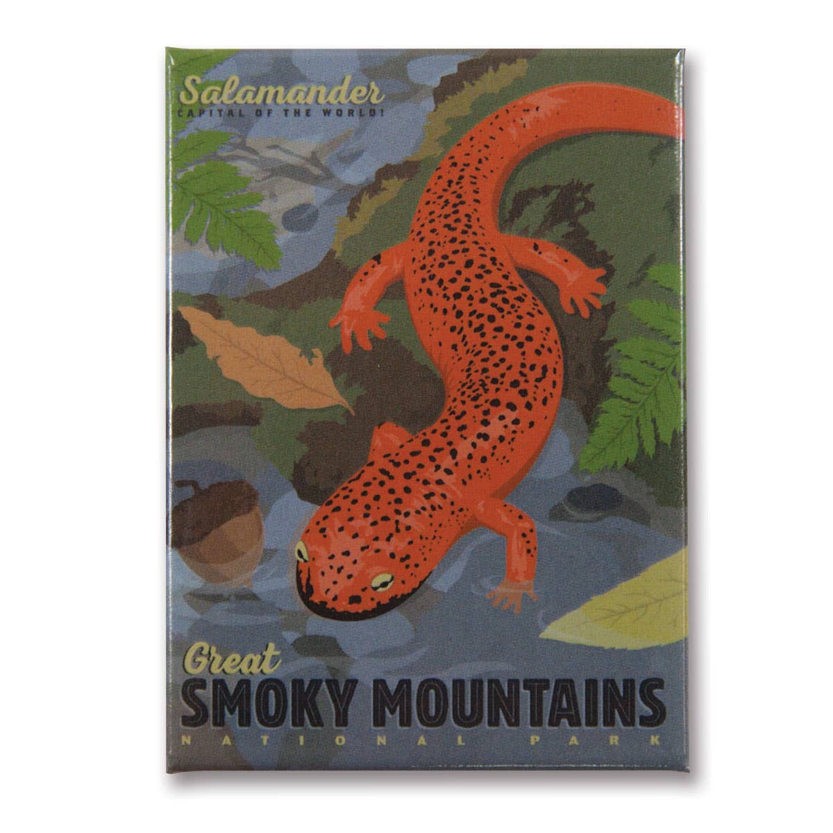 Great Smoky Salamander Magnet