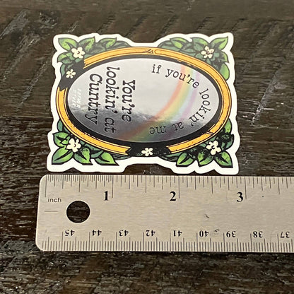 You're Lookin at Cuntry Sticker