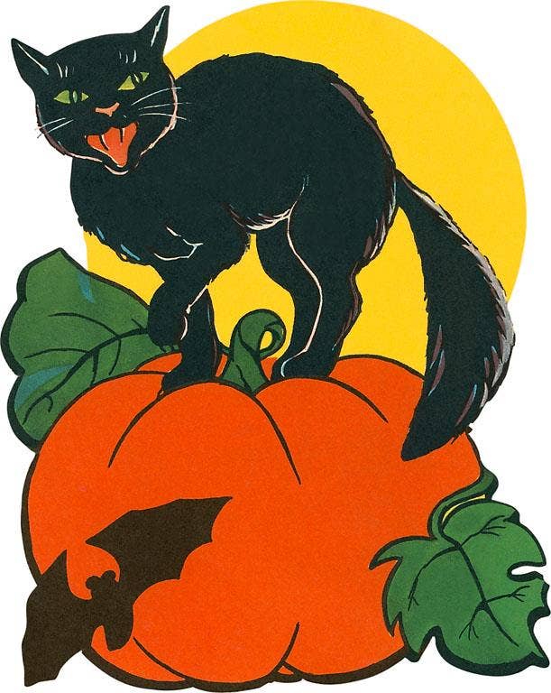 Black Cat with Pumpkin Postcard