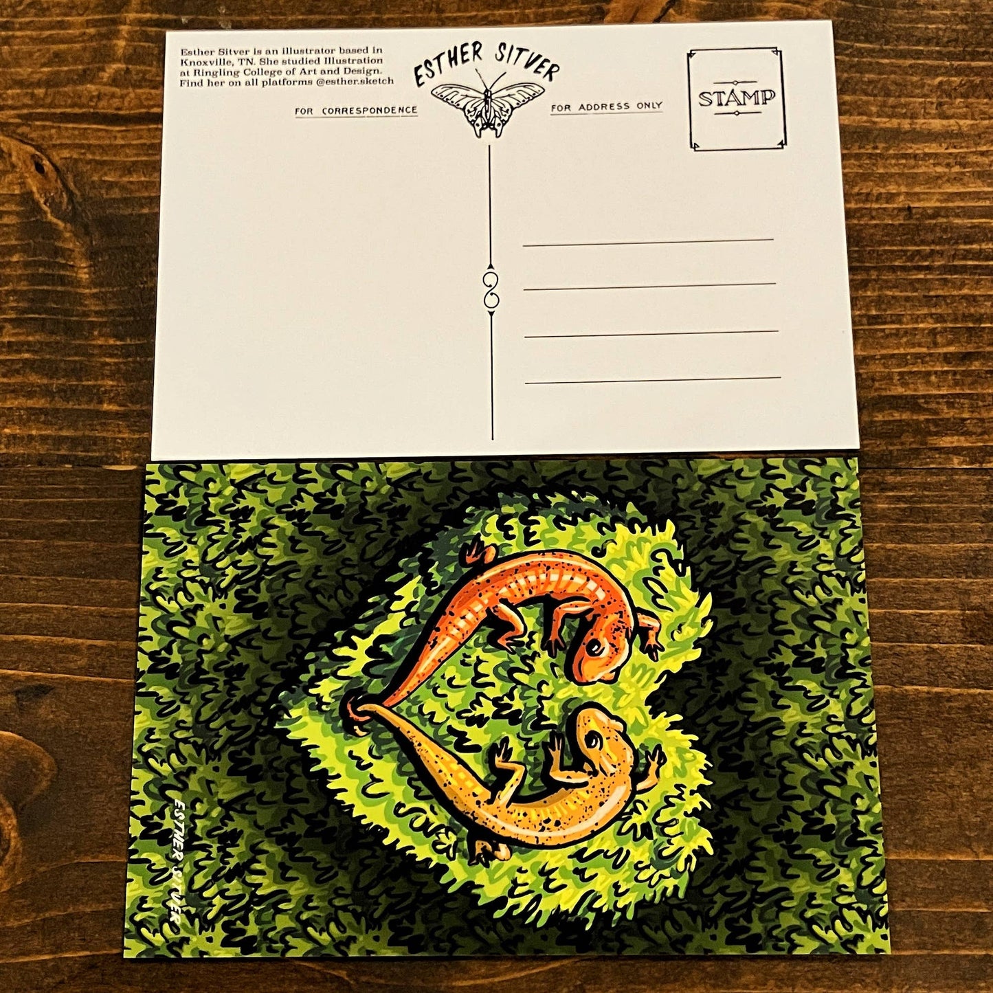 Salamanders in Love Postcard