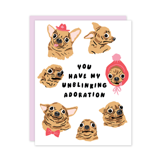 Unblinking Chihuahua Love Card