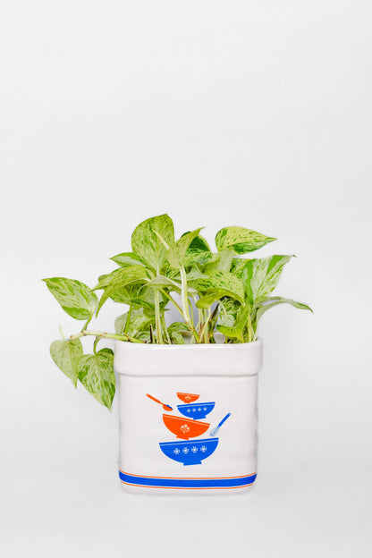 Sugar Jar Ceramic Planter