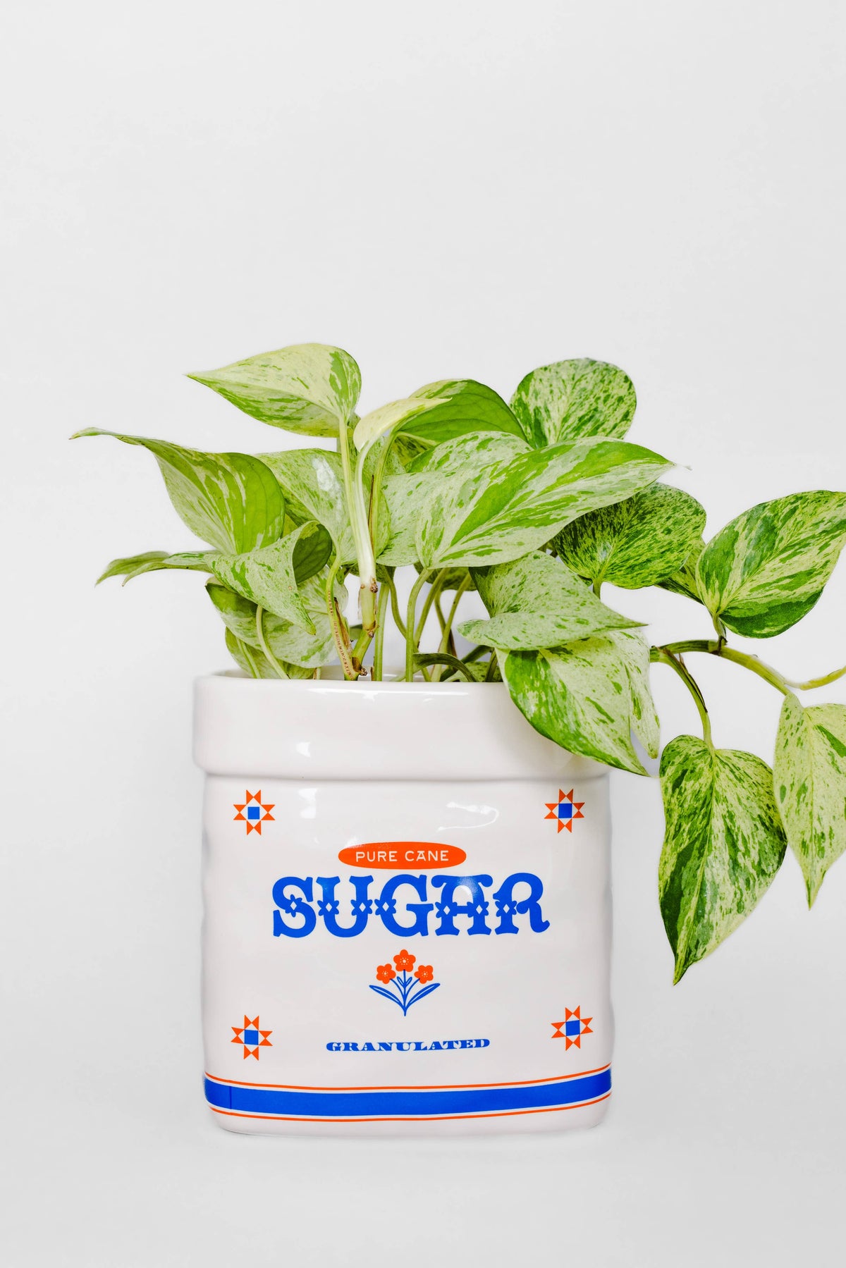 Sugar Jar Ceramic Planter