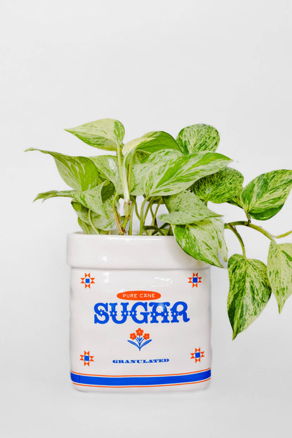 Sugar Jar Ceramic Planter