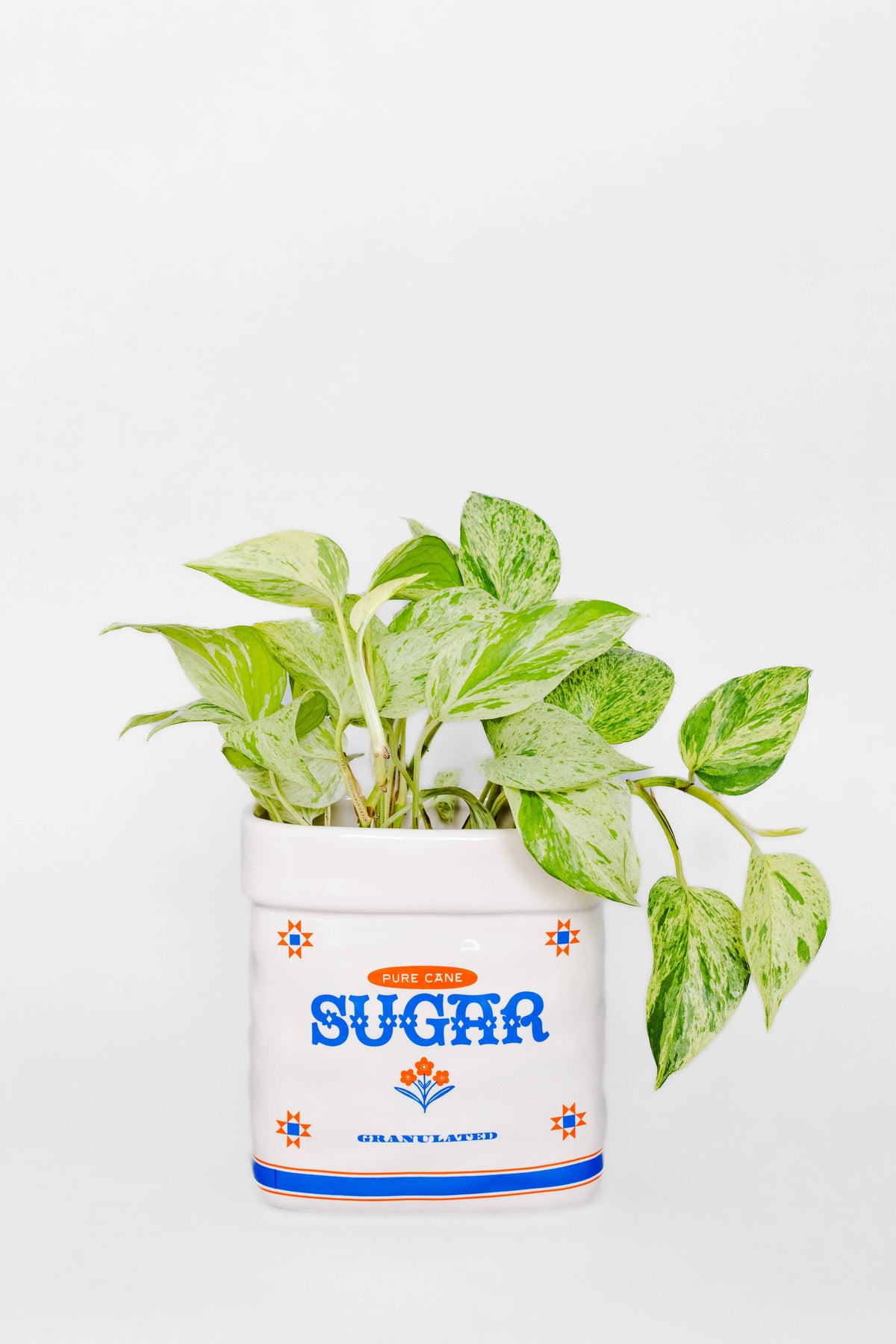 Sugar Jar Ceramic Planter