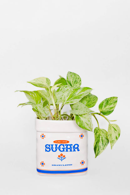 Sugar Jar Ceramic Planter