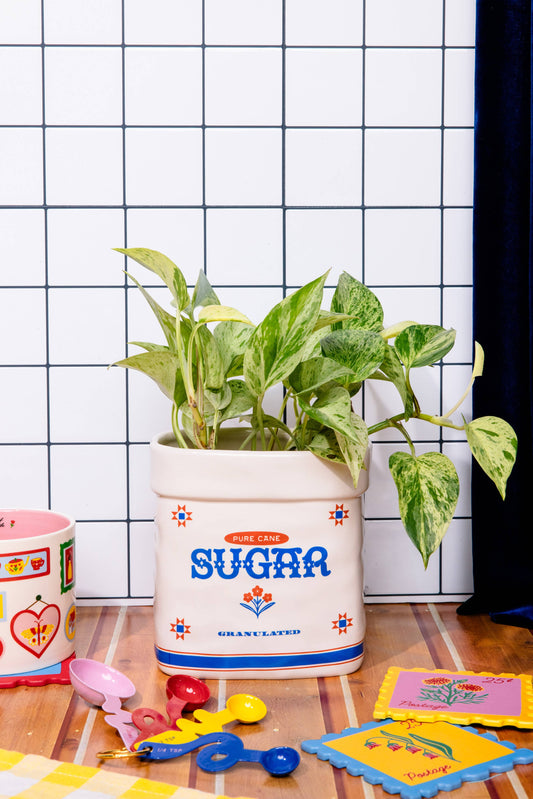 Sugar Jar Ceramic Planter