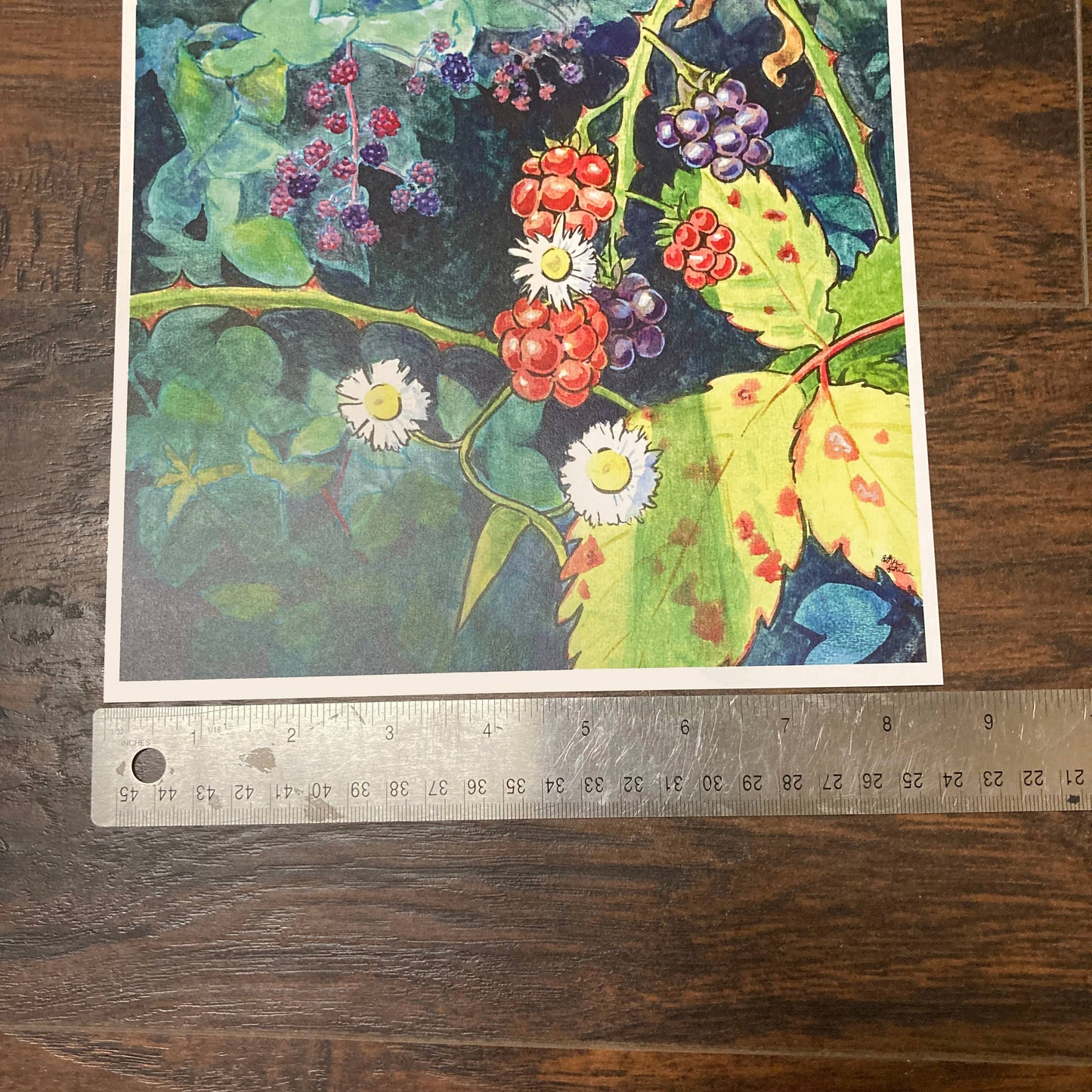 Wild Blackberry Bramble 8.5x11 Art Print