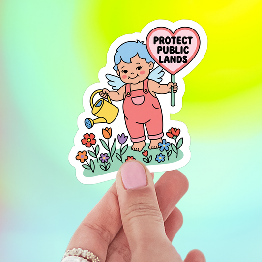 Protect Public Lands Sticker