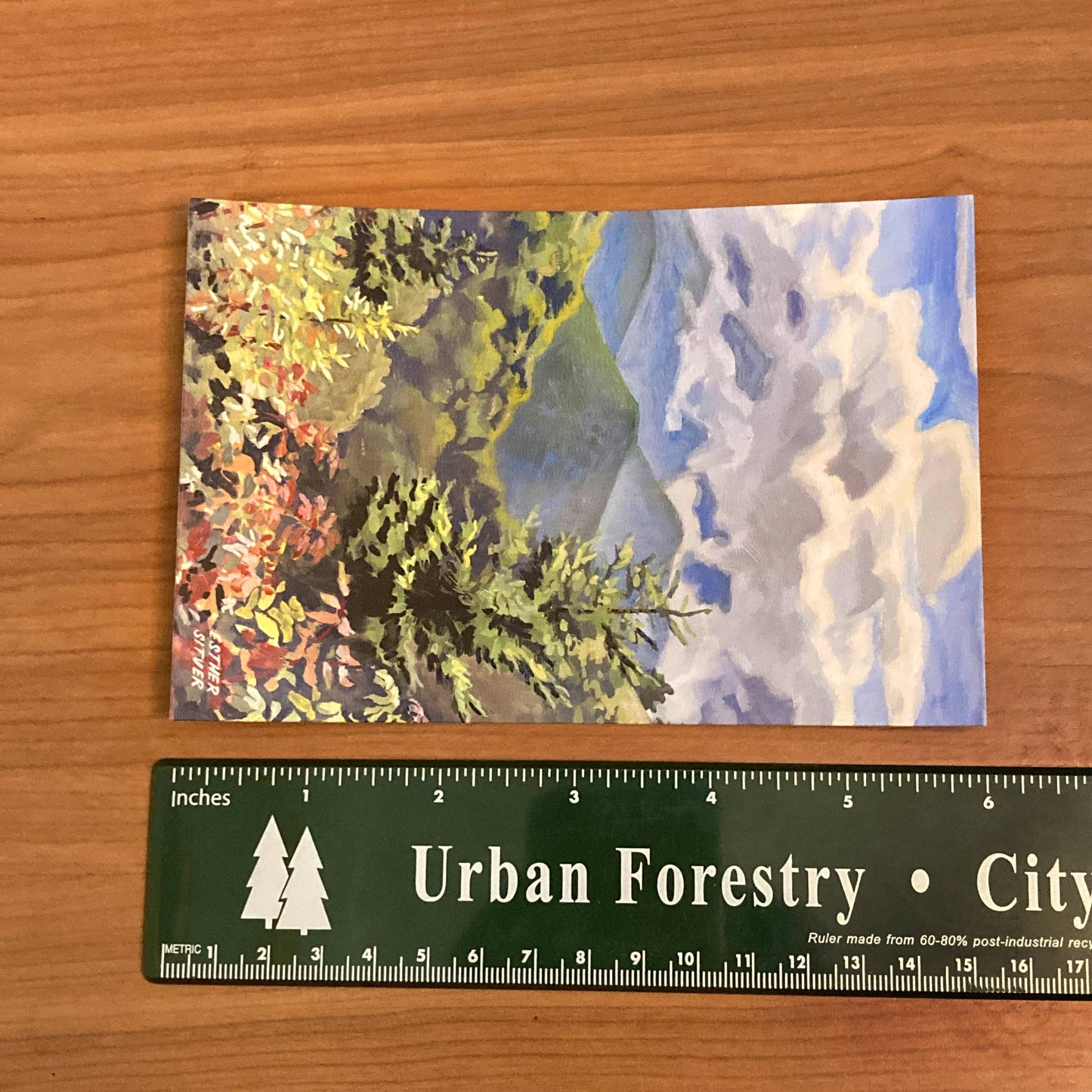 Blue Ridge Parkway Postcard