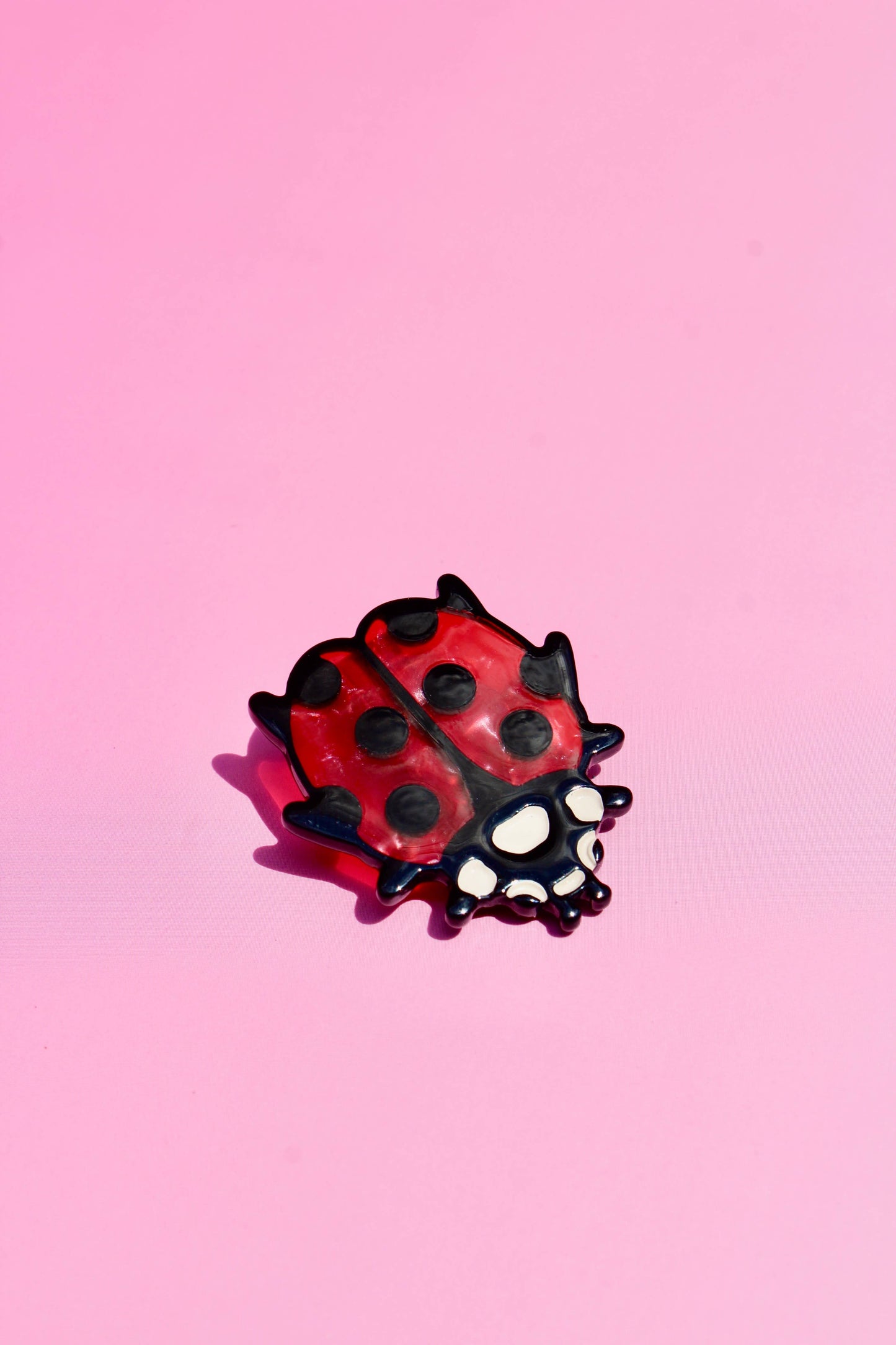 Lady Bug Hair Clip Set