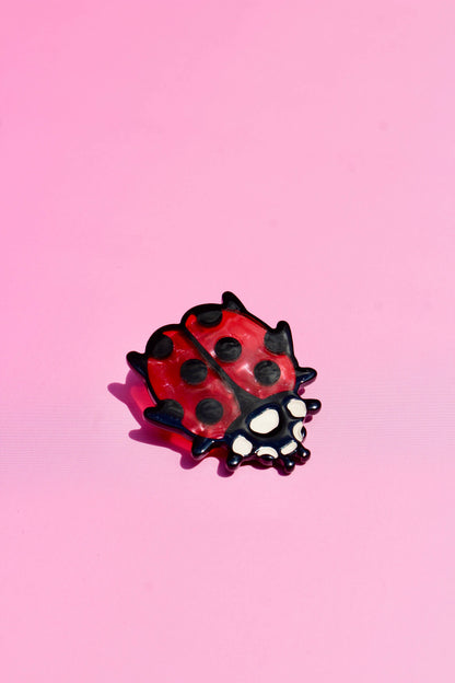 Lady Bug Hair Clip Set