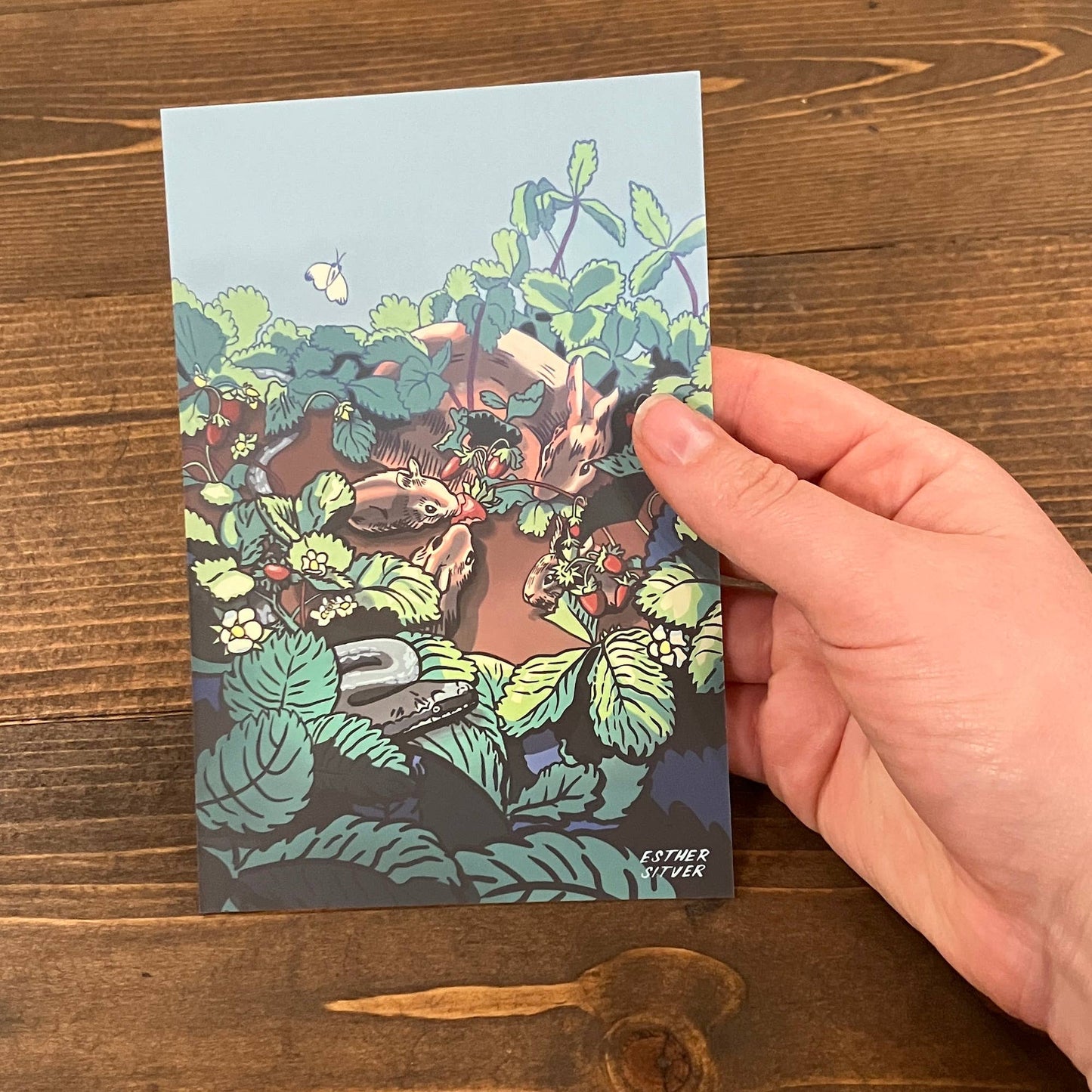 The Strawberry Patch 4x6 Postcard