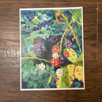 Wild Blackberry Bramble 8.5x11 Art Print