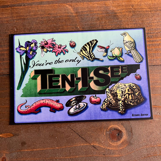 You're the only Ten I See Postcard