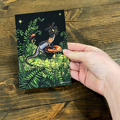 Salamander Firefly Postcard