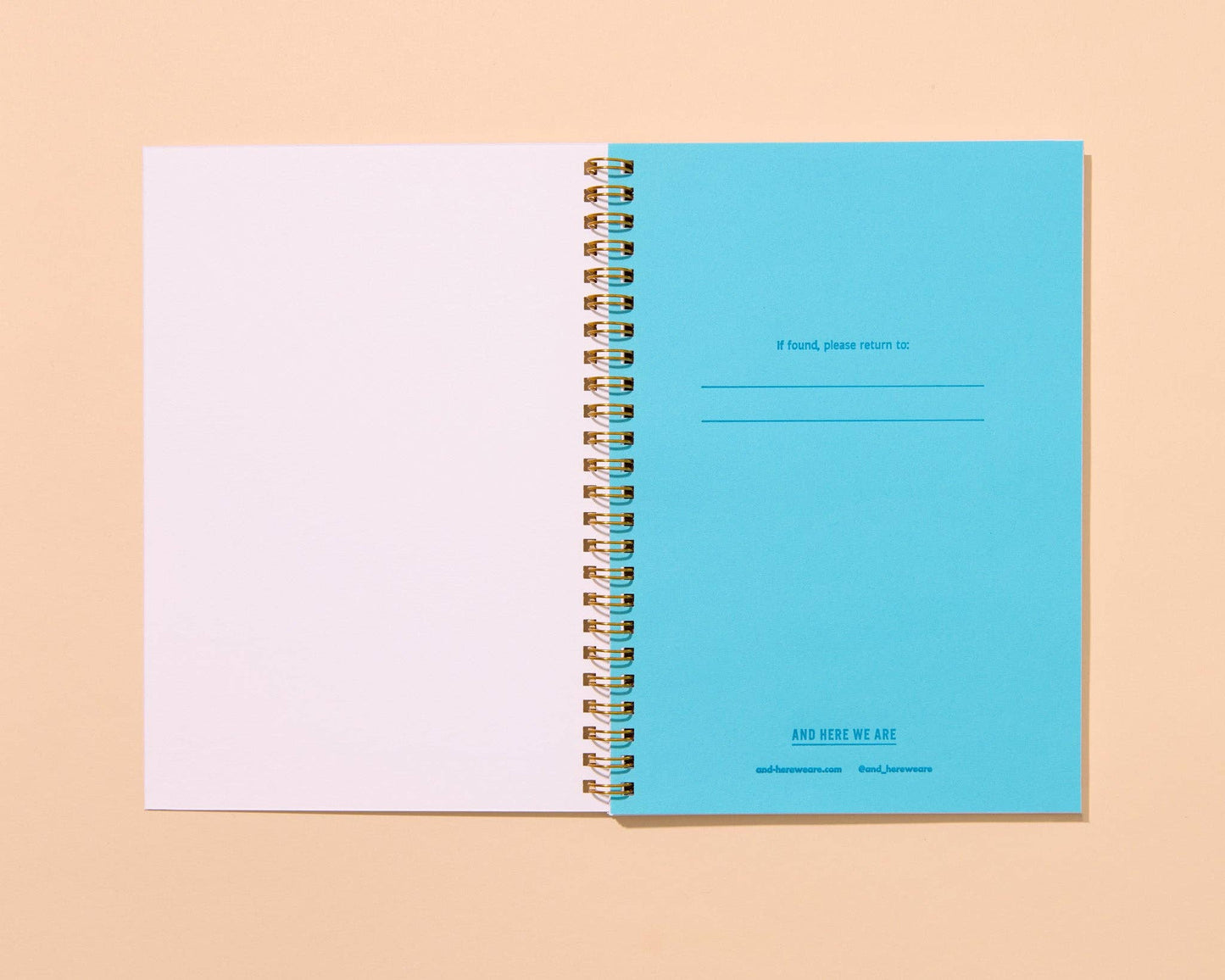 Flying Mallards A5 Spiral Notebook
