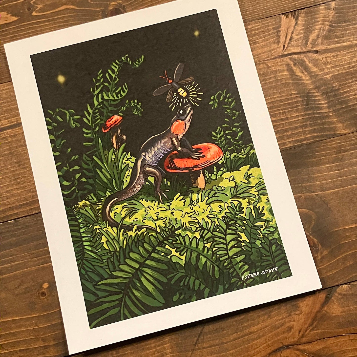 Salamander and Firefly 8.5x11 Art Print
