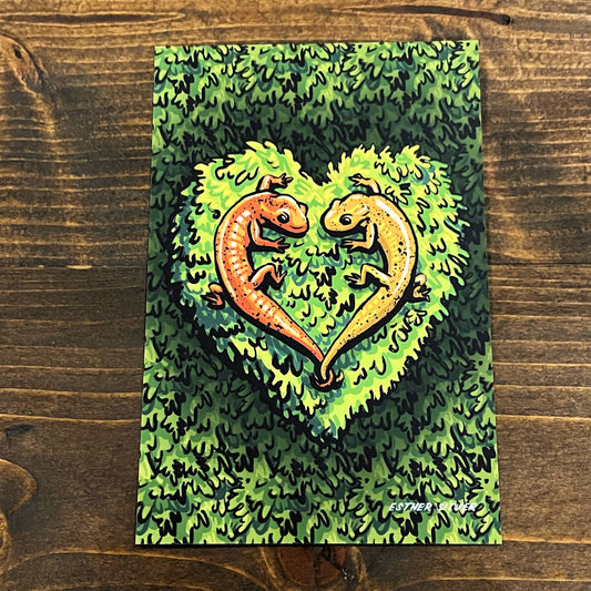 Salamanders in Love Postcard