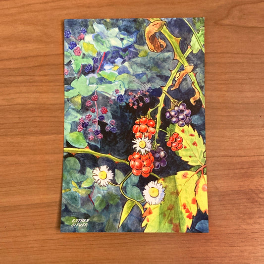Blackberry Bramble Postcard