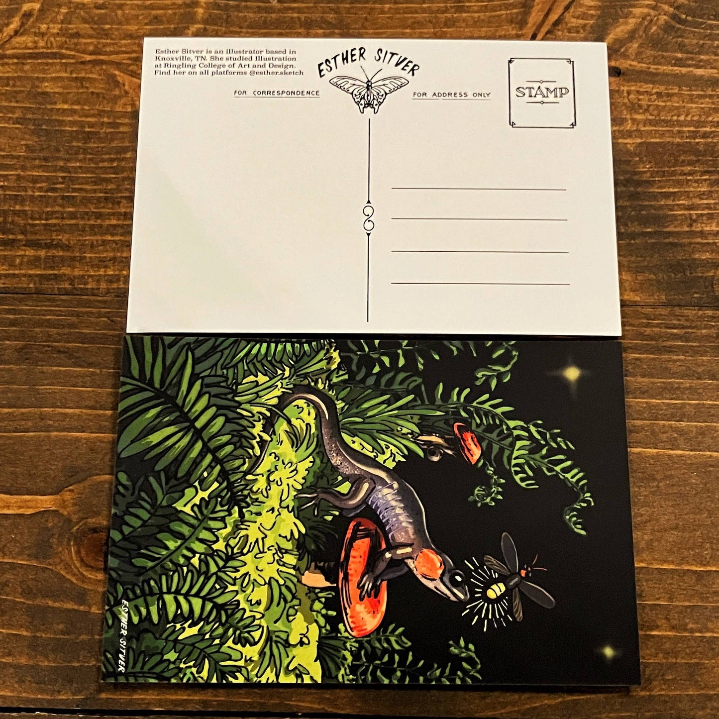 Salamander Firefly Postcard