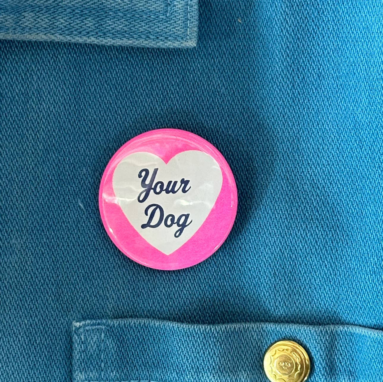I Love Your Dog Button