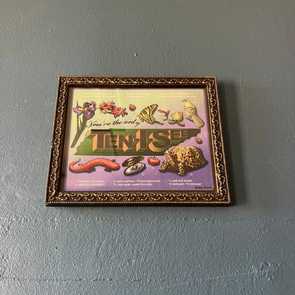 Only Ten I See Tennessee Print