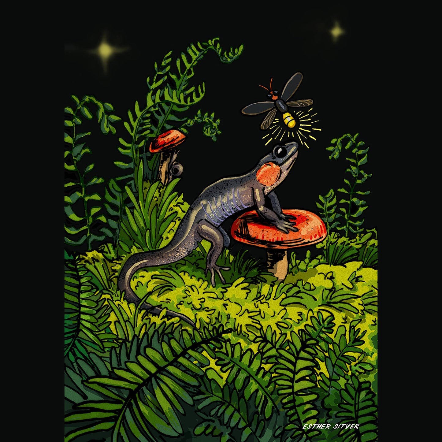 Salamander Firefly Postcard