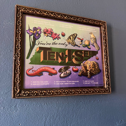 Only Ten I See Tennessee Print