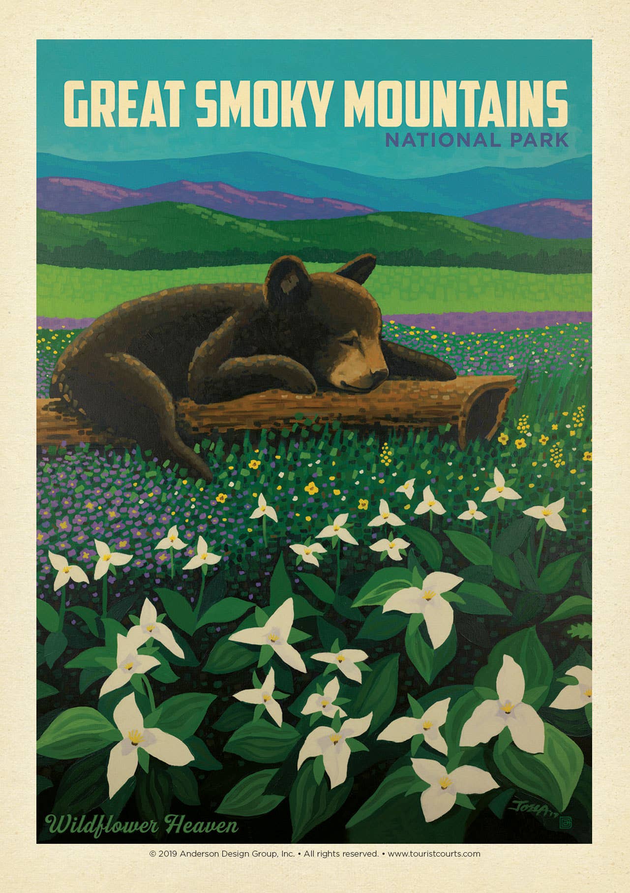 Great Smoky Wildflower Heaven Postcard
