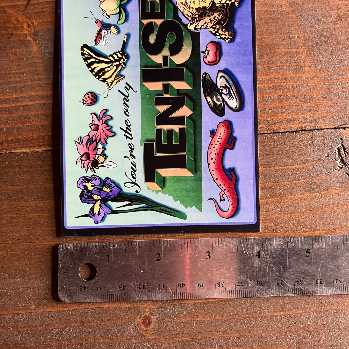 You're the only Ten I See Postcard