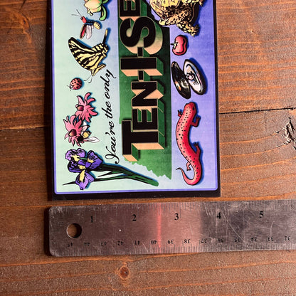 You're the only Ten I See Postcard