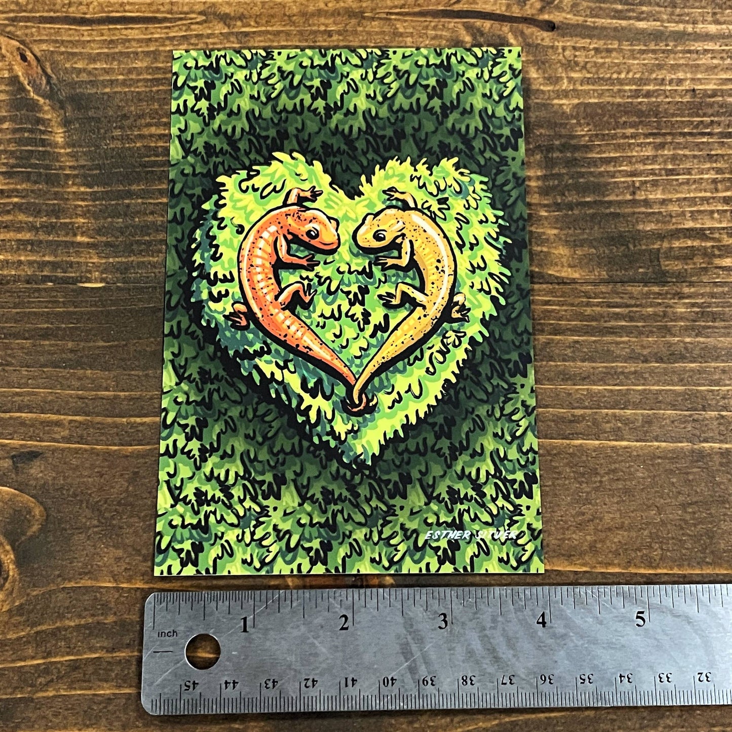 Salamanders in Love Postcard