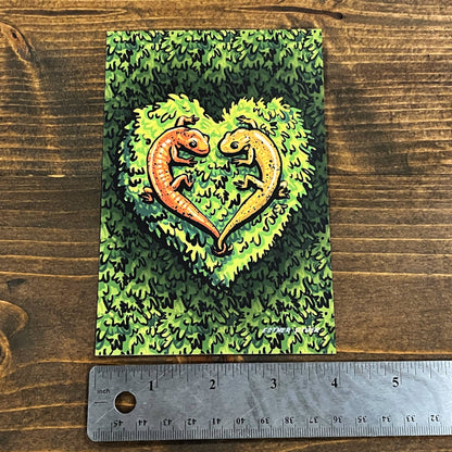 Salamanders in Love Postcard