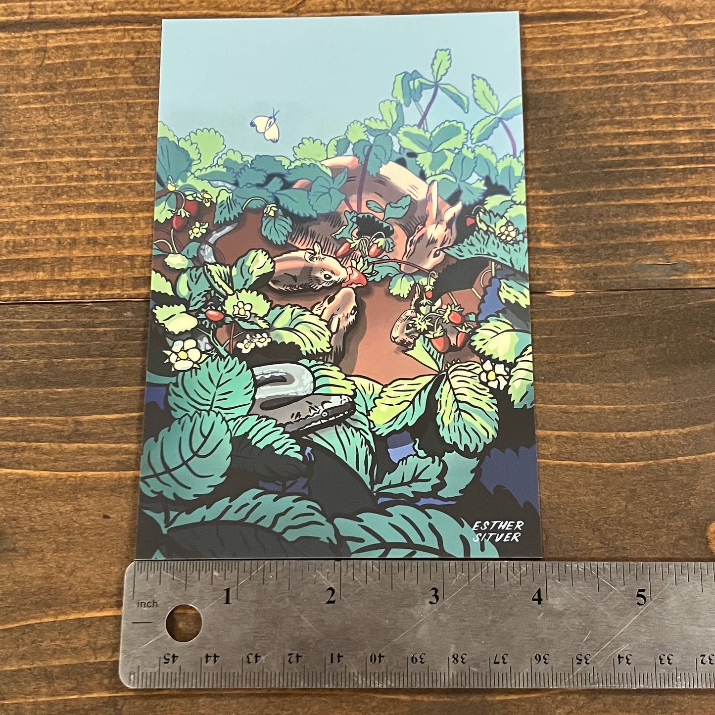 The Strawberry Patch 4x6 Postcard