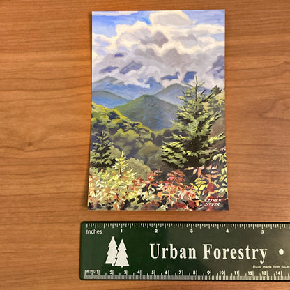 Blue Ridge Parkway Postcard